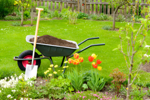 Gardening & Landscaping