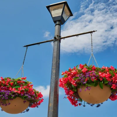 Huge Hanging Baskets