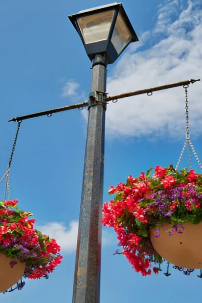 Huge Hanging Baskets