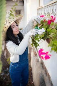 Pruning Hanging Basket